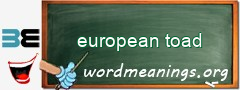 WordMeaning blackboard for european toad